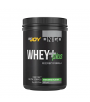 Bigjoy Sports On The Go Whey+Plus Ananas